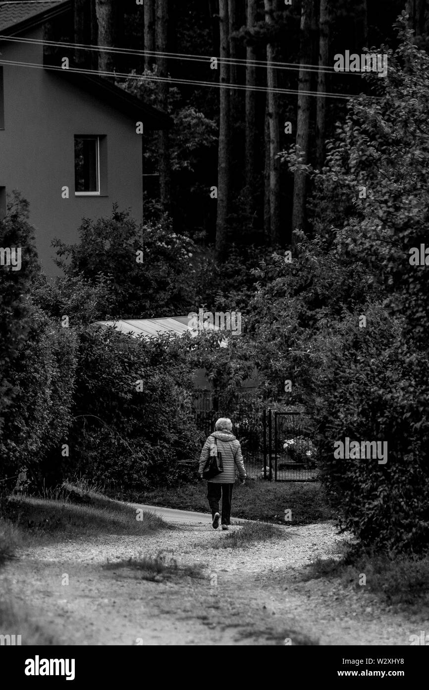 La photographie en noir et blanc de femmes solitaires marche derrière Banque D'Images