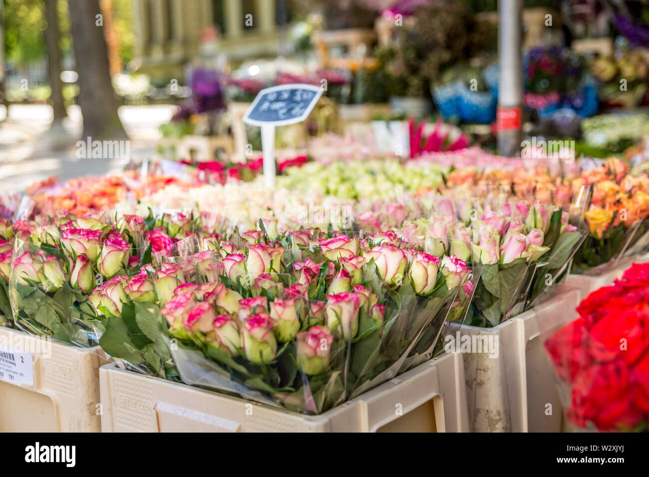 Blumenverkauf à Groningen Banque D'Images