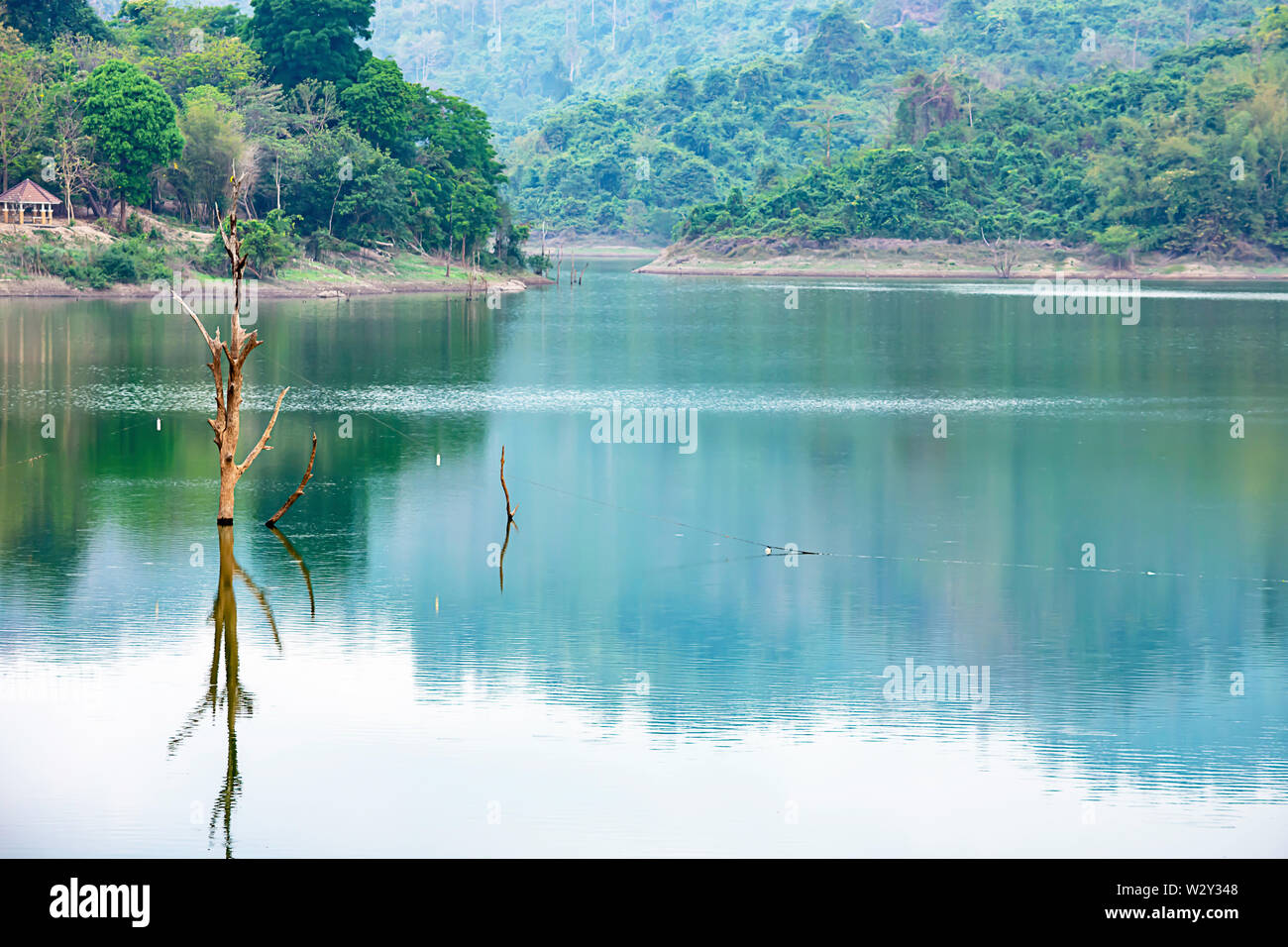 Les arbres meurent dans l'eau et montagne à Wang Bon dam , Thaïlande Nakhon Nayok. Banque D'Images