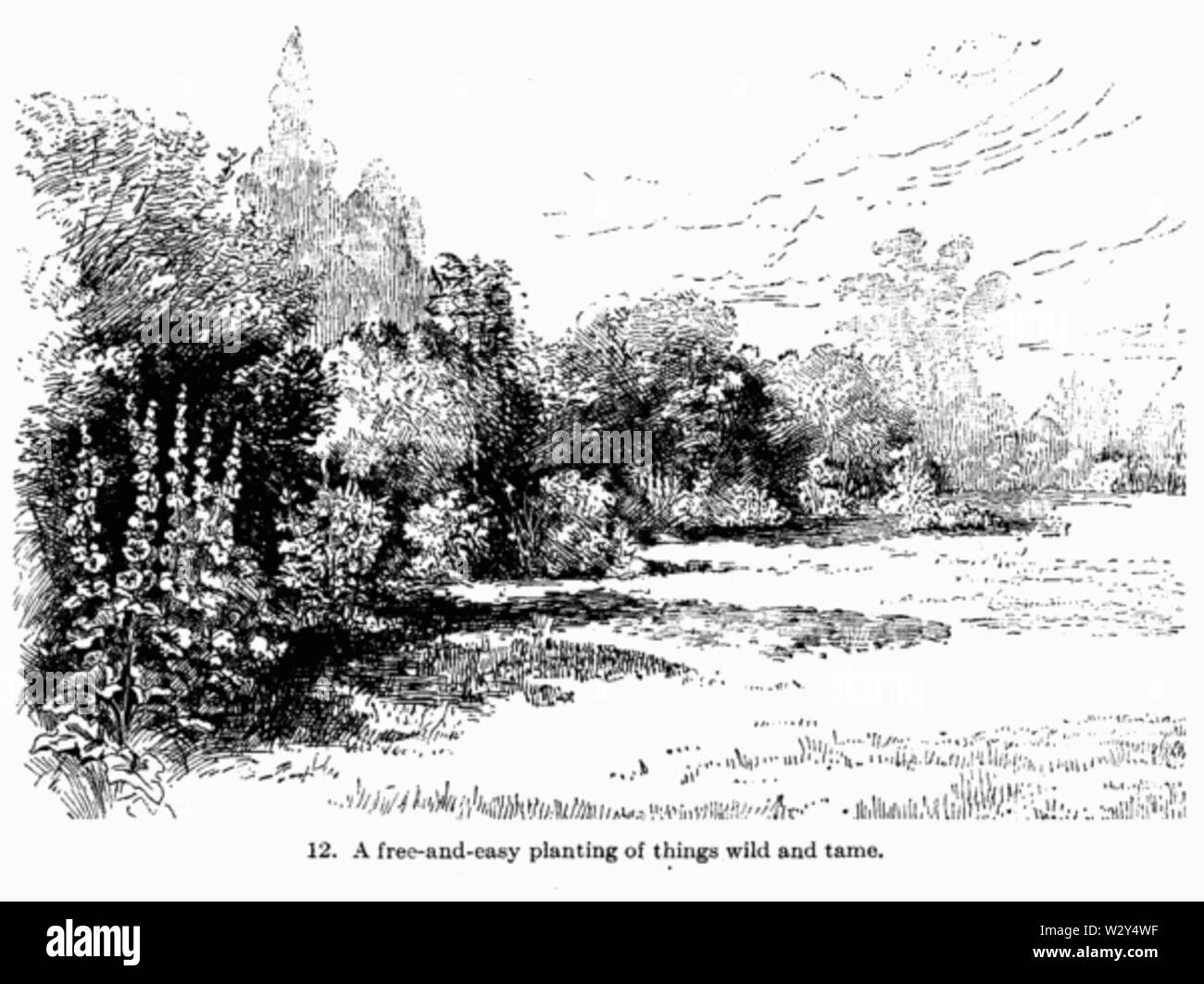 Jardinage de manuel fig012 Banque D'Images