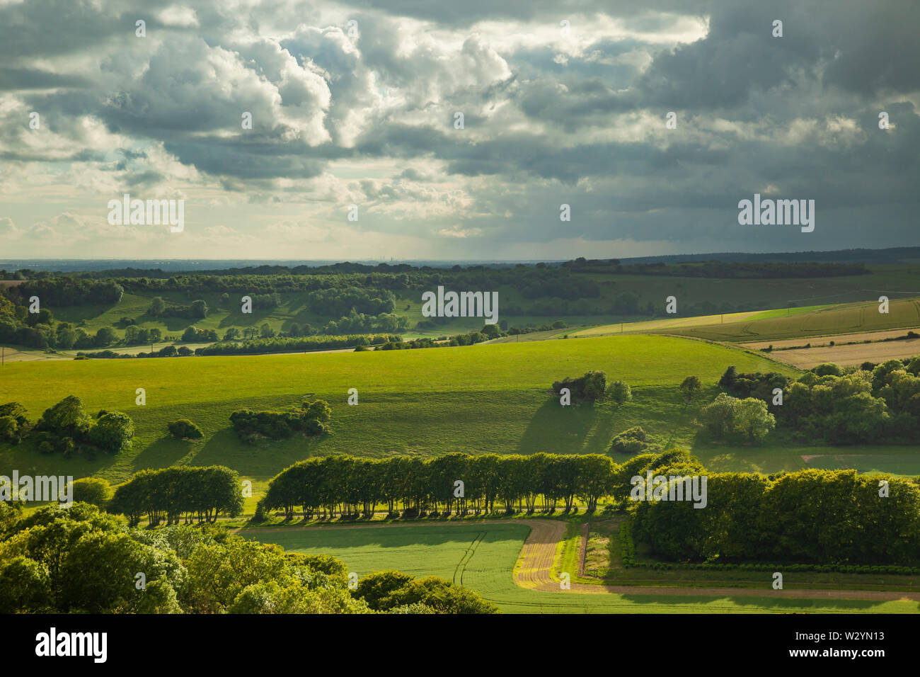 Après-midi d'été sur les South Downs dans le West Sussex. Banque D'Images