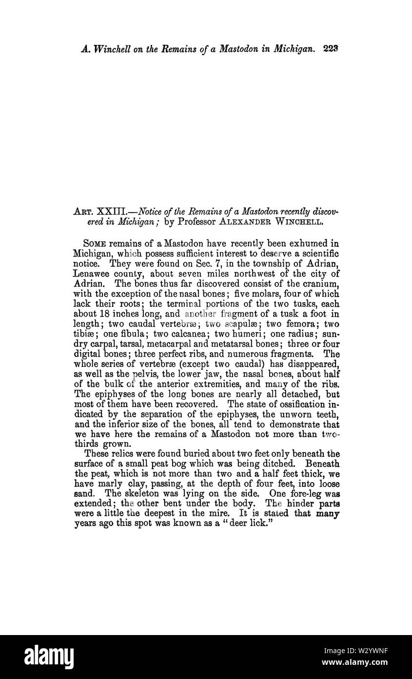 Avis de la demeure d'un Mastodon récemment découverte dans le Michigan Page 1 Banque D'Images