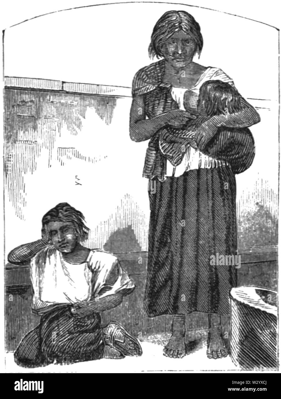 Mexique OSR D387 vendeur orange Banque D'Images