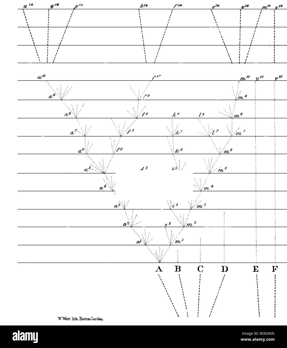 L'origine des espèces 1859 télécopieur D128 Banque D'Images