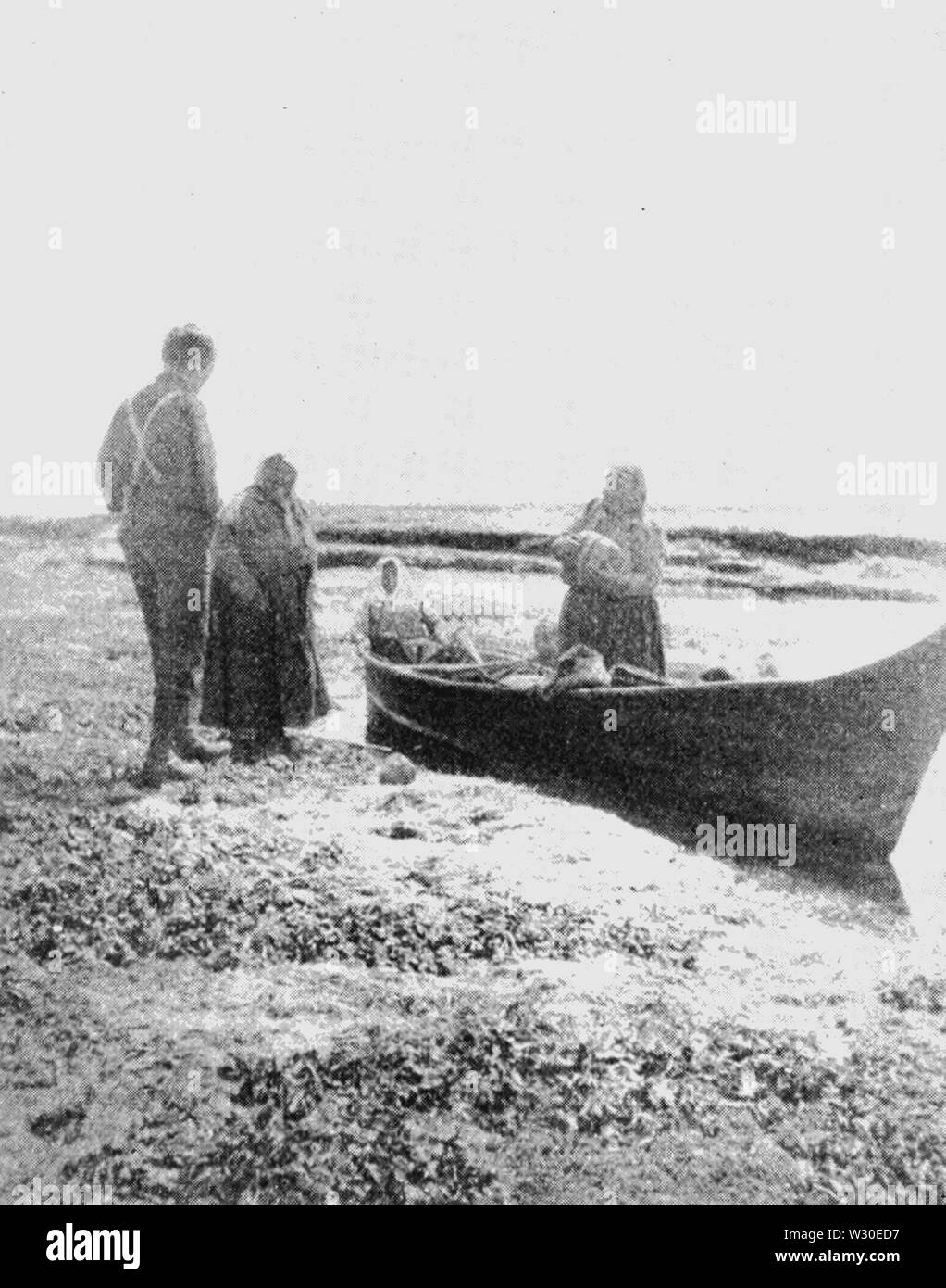 PSM V67 D092 fucus exposés à marée basse Banque D'Images