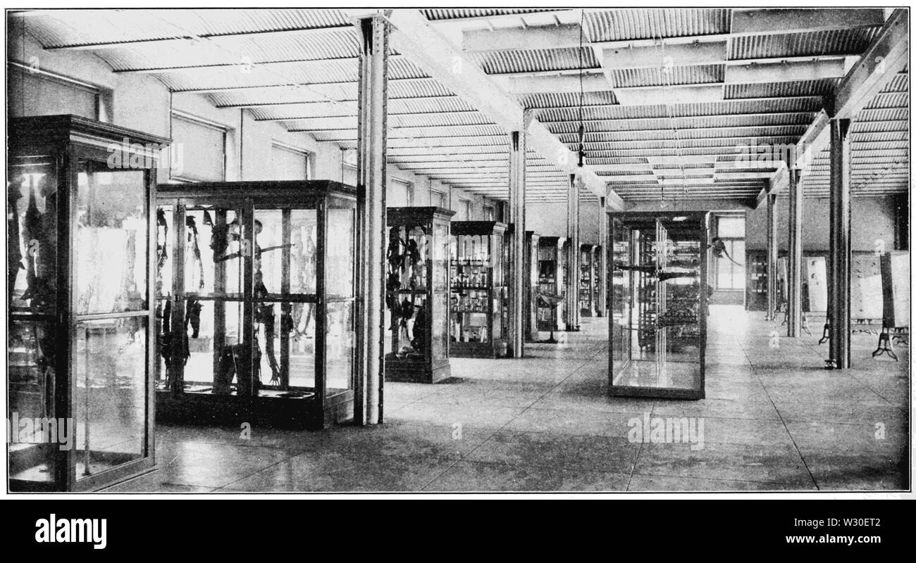 PSM V67 D194 Musée du premier étage Banque D'Images PSM V67 D194 Musée du premier étage Banque D'Images