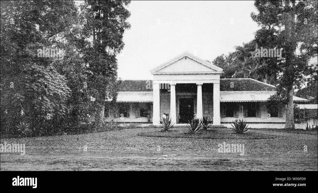 PSM V67 D584 et de l'herbier du musée botanique à buitenzorg bogor institut Banque D'Images