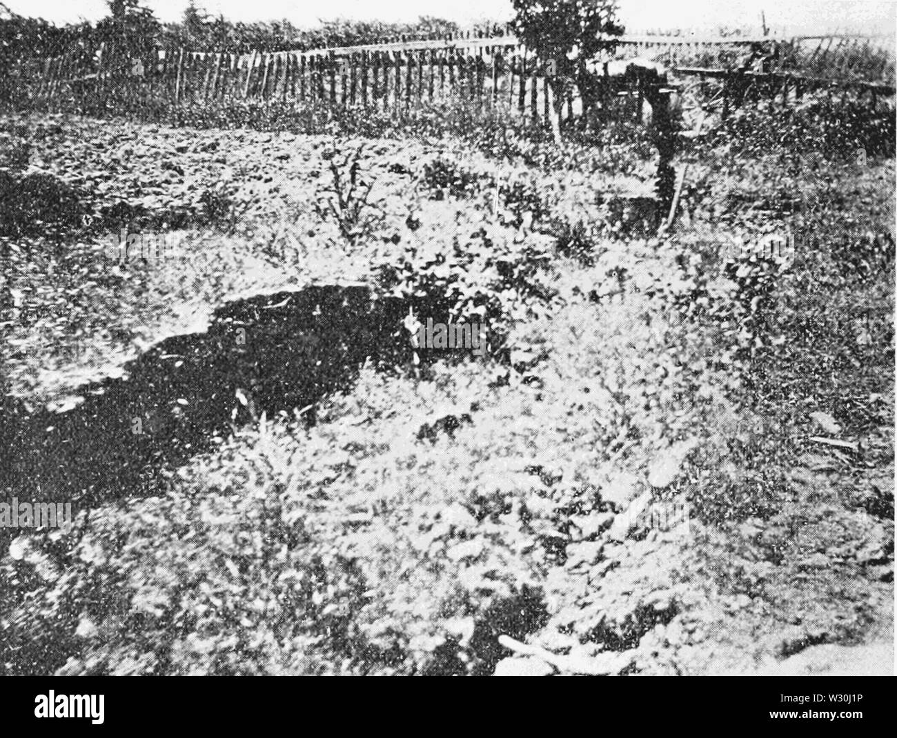 PSM V69 D306 rift Séisme à morrill ranch dans le comté de Santa Cruz Banque D'Images