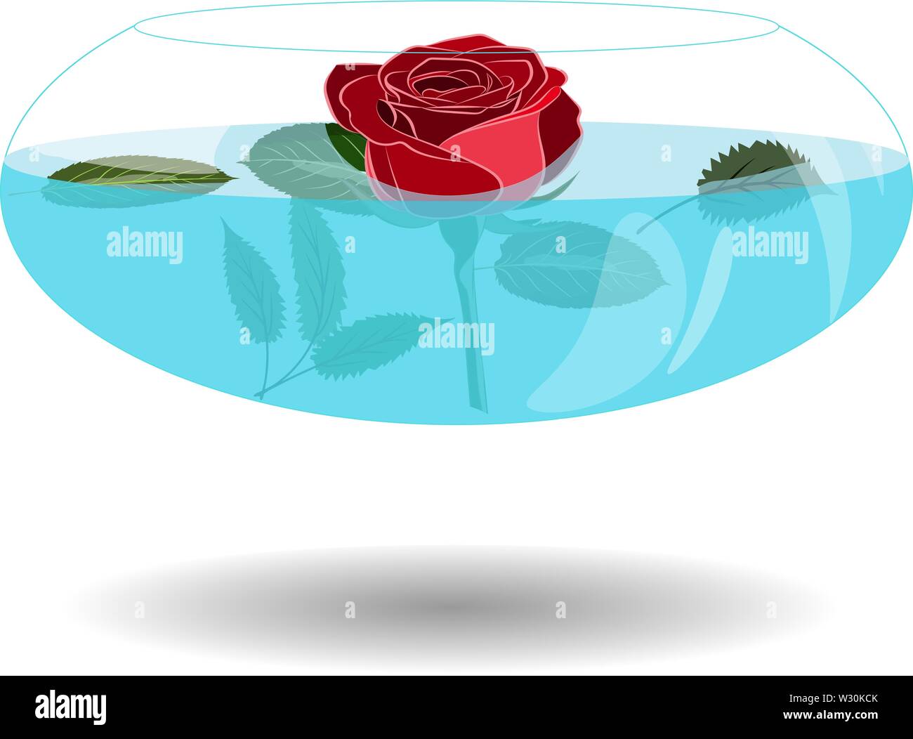 Scarlet Rose dans un vase d'eau. Belle illustration vectorielle à nice rose bol transparent avec de l'eau. Seule rose dans un vase de l'accueil Illustration de Vecteur