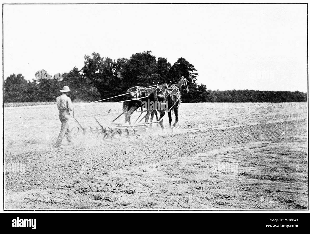 PSM V73 D411 Troisième année préparant le terrain pour le blé Banque D'Images
