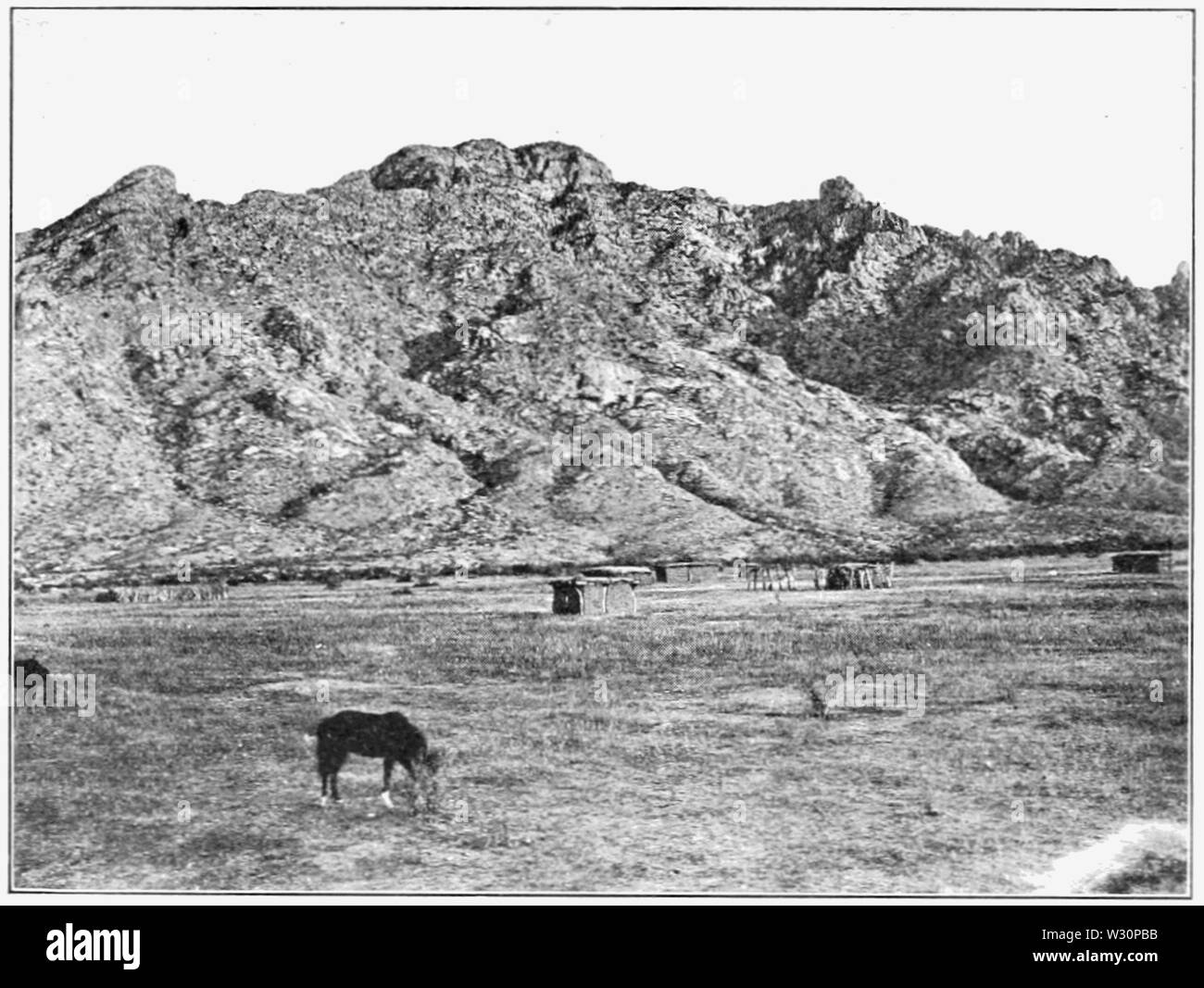 PSM V74 D029 montagnes arizona Coyote Banque D'Images