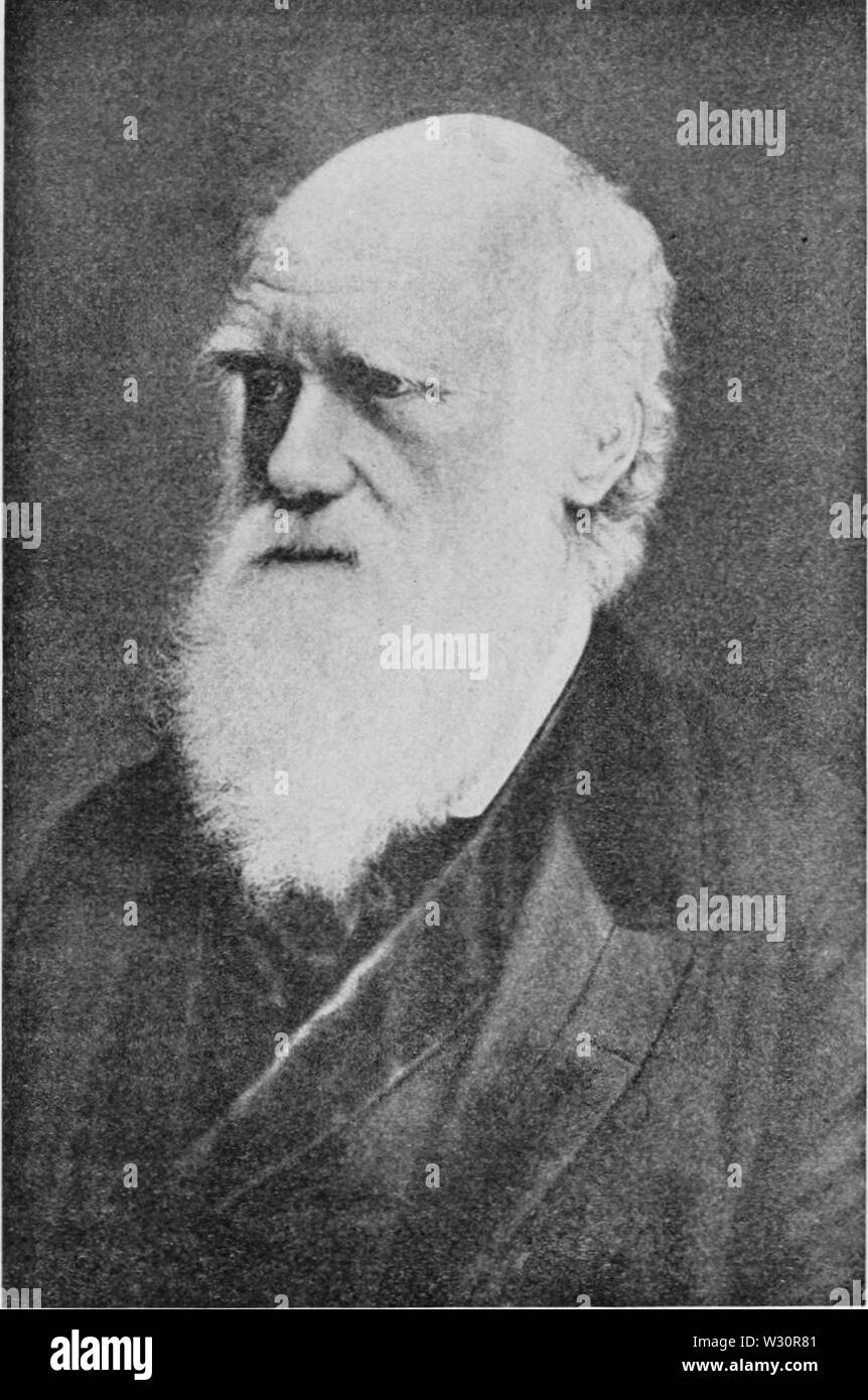 PSM V74 D338 Charles Darwin Banque D'Images