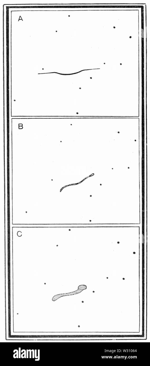 PSM V79 D200 la comète verdâtre observée à la Jamaïque masse ordinaire le 14 novembre 1901 Banque D'Images