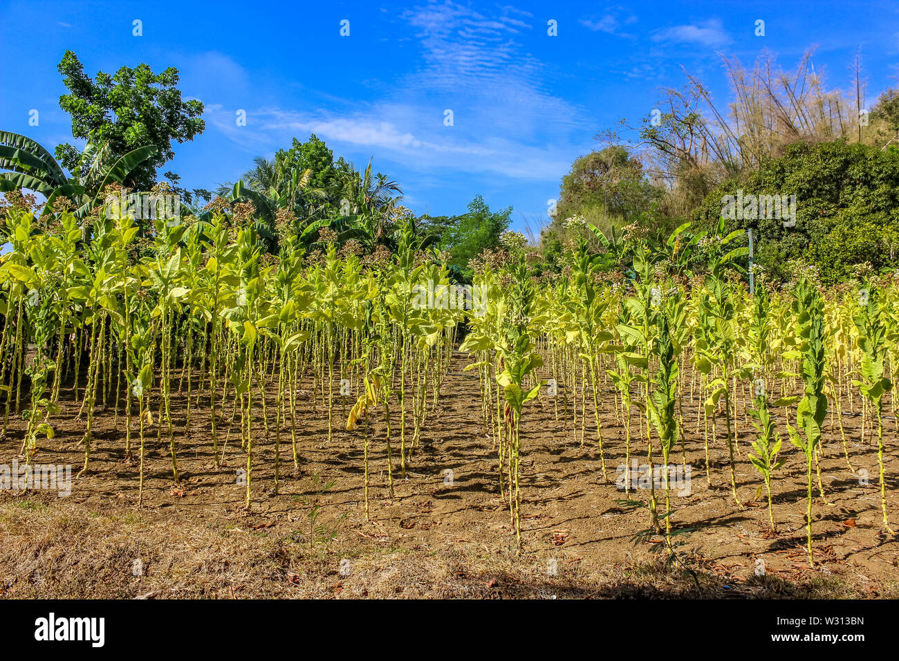 Santa Lucia, Ilocos Norte Banque D'Images