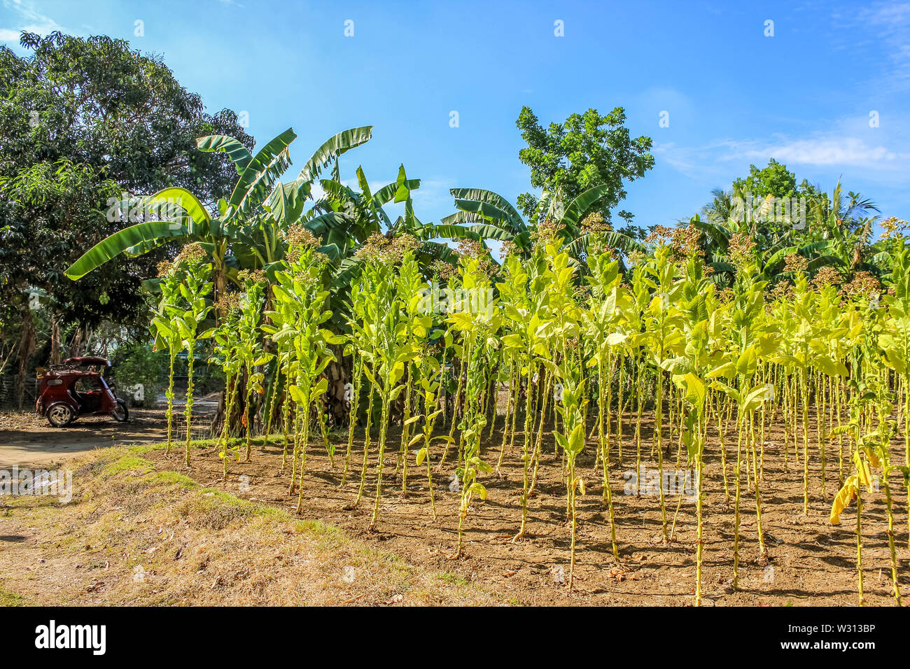 Santa Lucia, Ilocos Norte Banque D'Images
