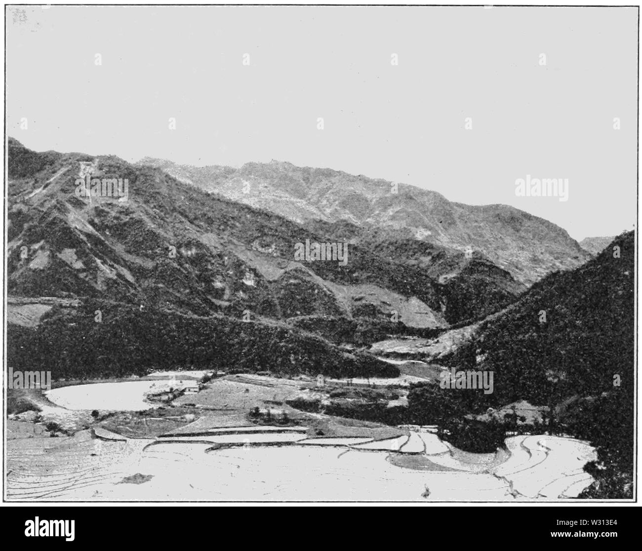 PSM V82 D126 gamme centrale vallée de rizières en terrasses Banque D'Images