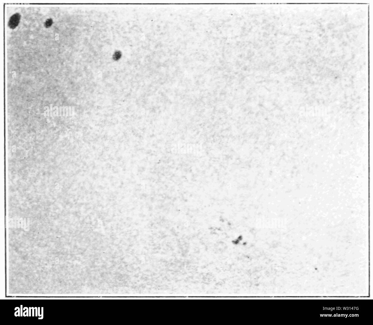PSM V83 D113 de la partie photo directe du soleil le 30 avril 1908 Banque D'Images