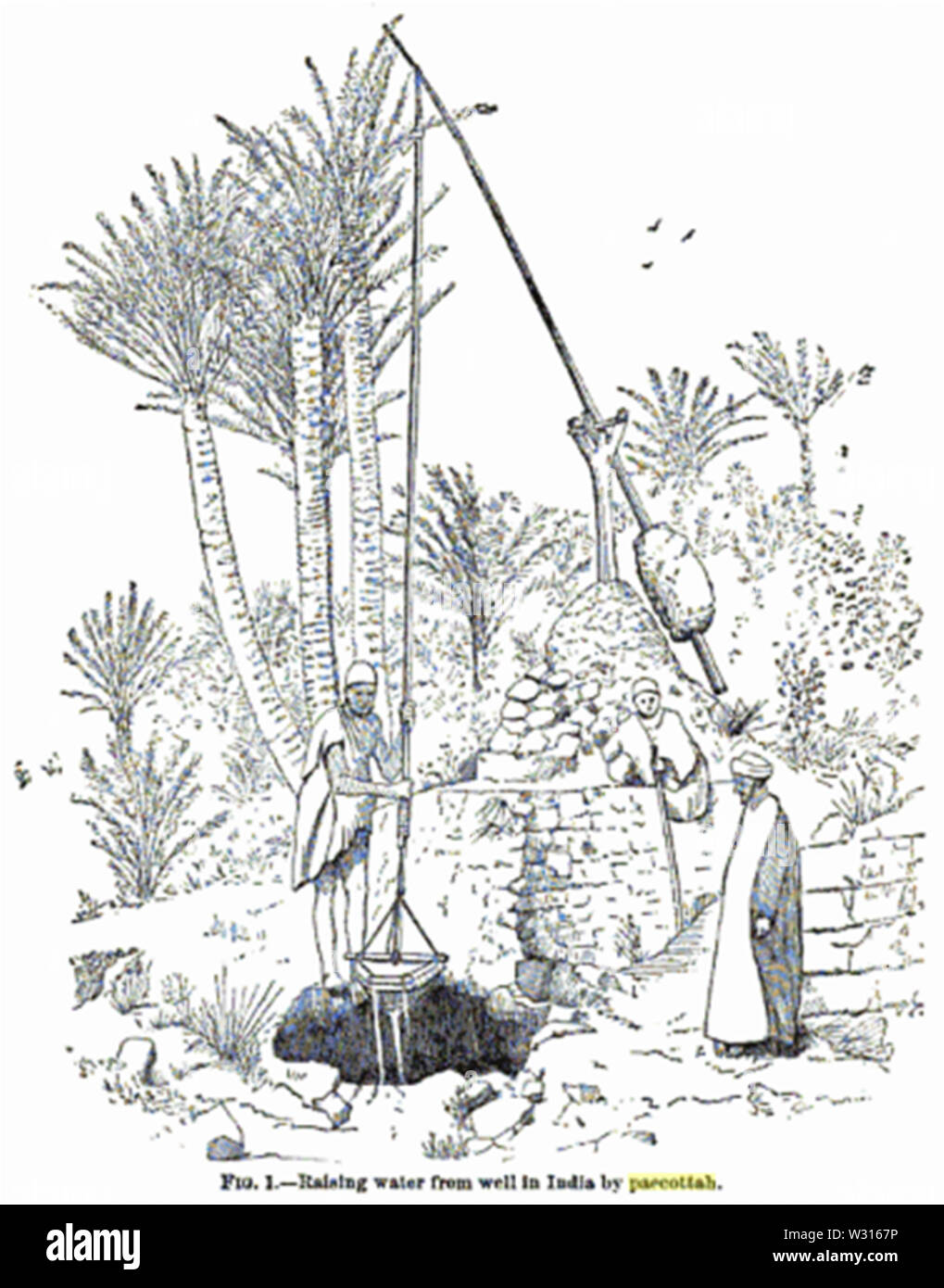 Paecottah Banque D'Images