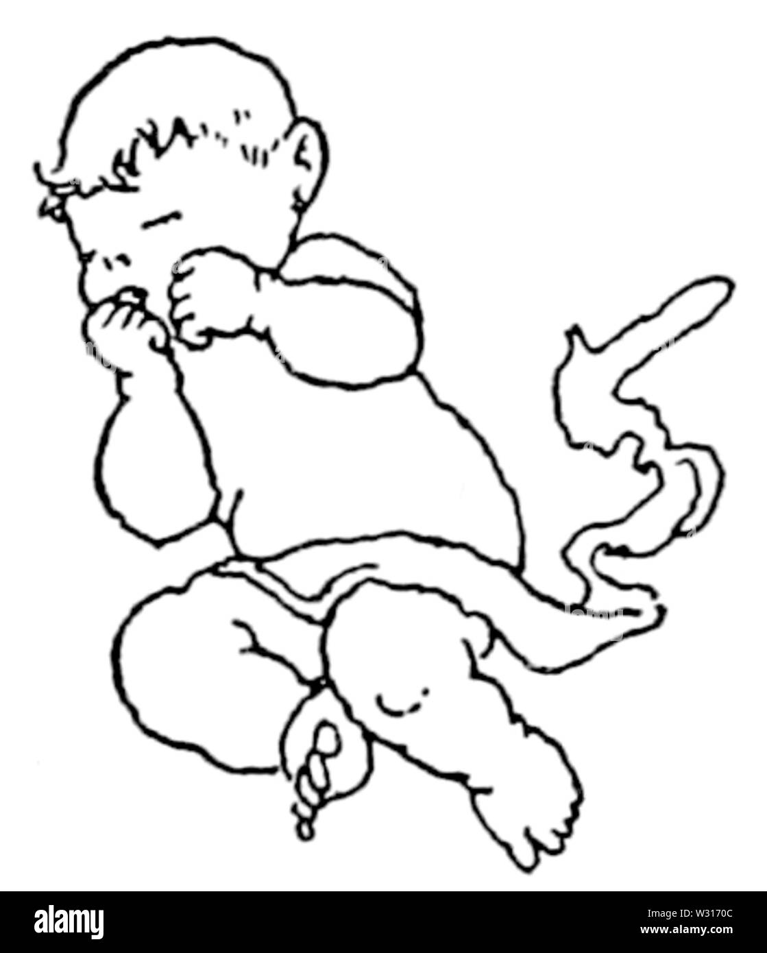 Page 079 l'illustration, l'eau les bébés Banque D'Images