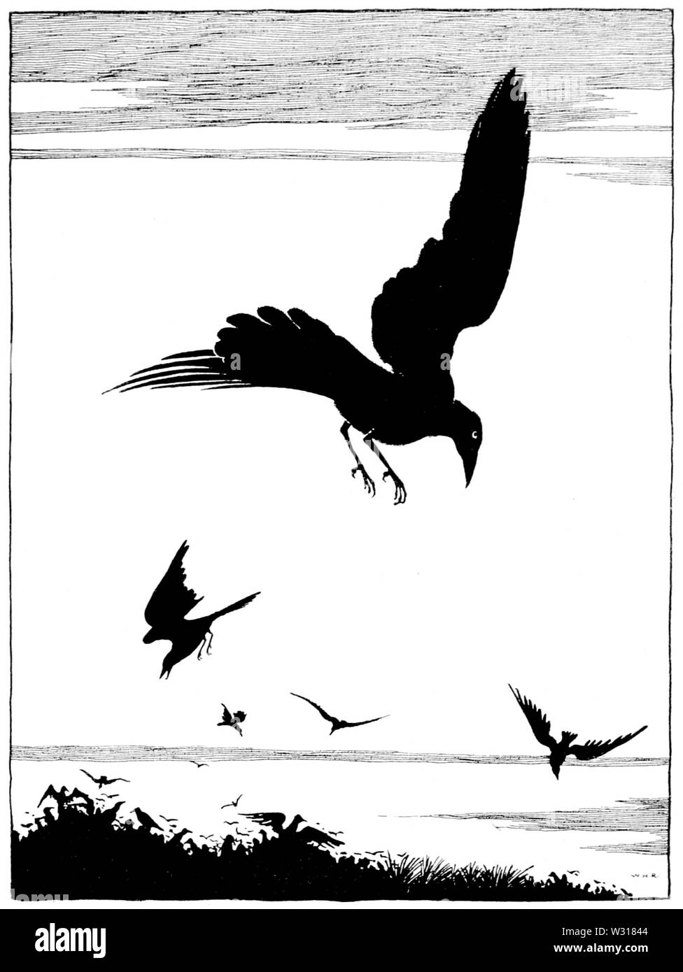 Page 240 l'illustration, l'eau les bébés Banque D'Images