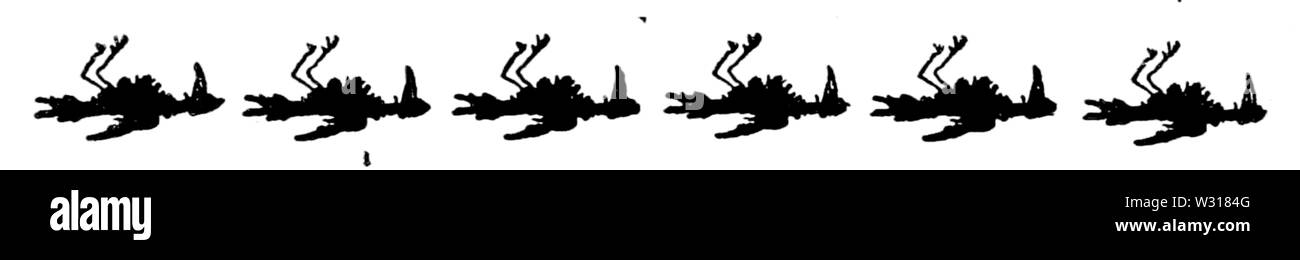 Page 243 l'illustration, l'eau les bébés Banque D'Images