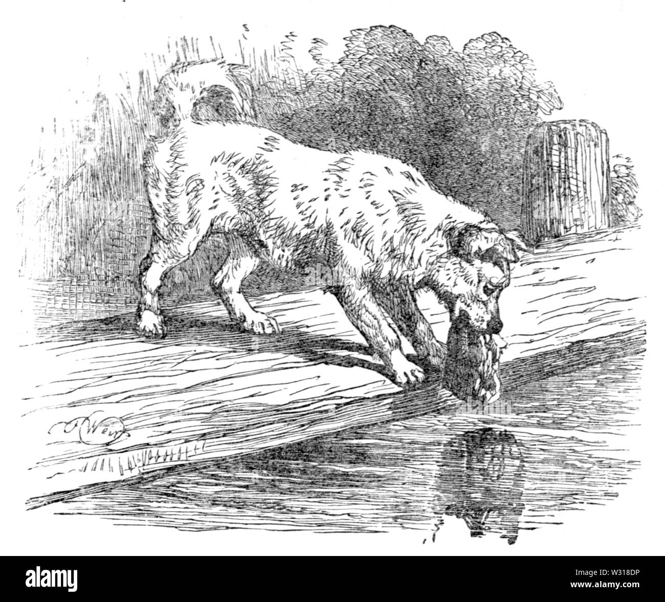 Page 39 illustration de trois cent fables d'Ésope (Townsend) Banque D'Images