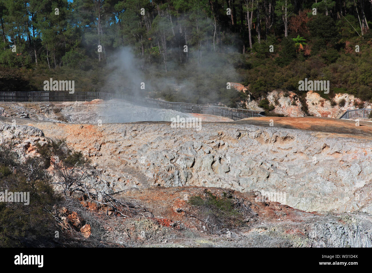 Pays de geysers dans, Rotorua, Nouvelle-Zélande Banque D'Images