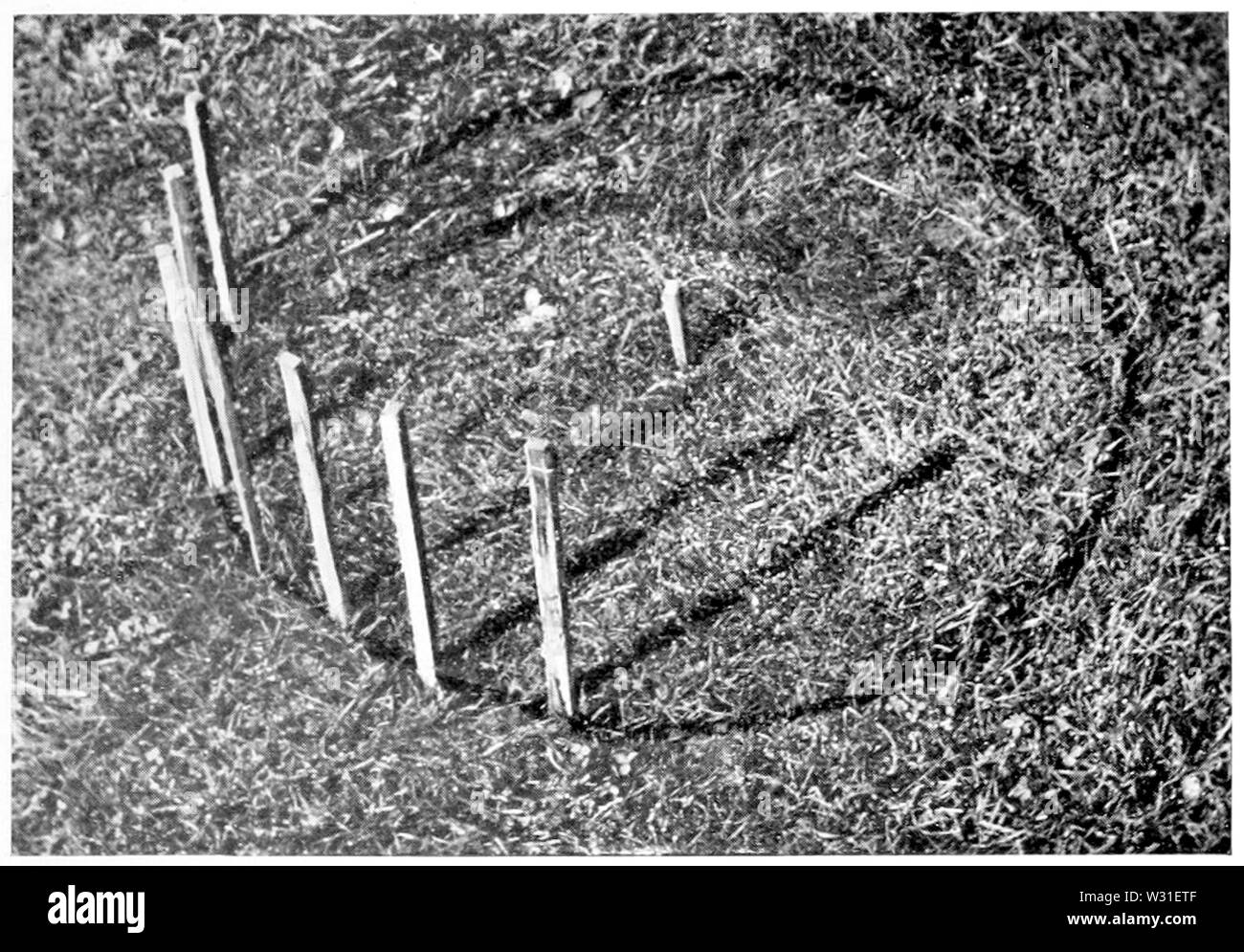 02, fig 6 plaque Folk-Lore, vol 20 Banque D'Images