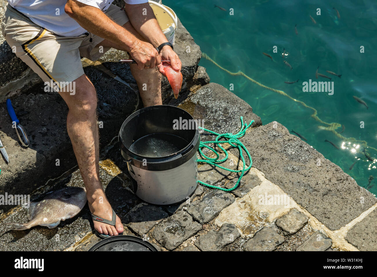 Un pêcheur après le succès de la pêche, à l'aide d'un couteau pour vider et nettoyer les poissons fraîchement pêchés, au-dessus de la benne d'alimentation. Jour ensoleillé chaud et doux. Vieux port, h Banque D'Images