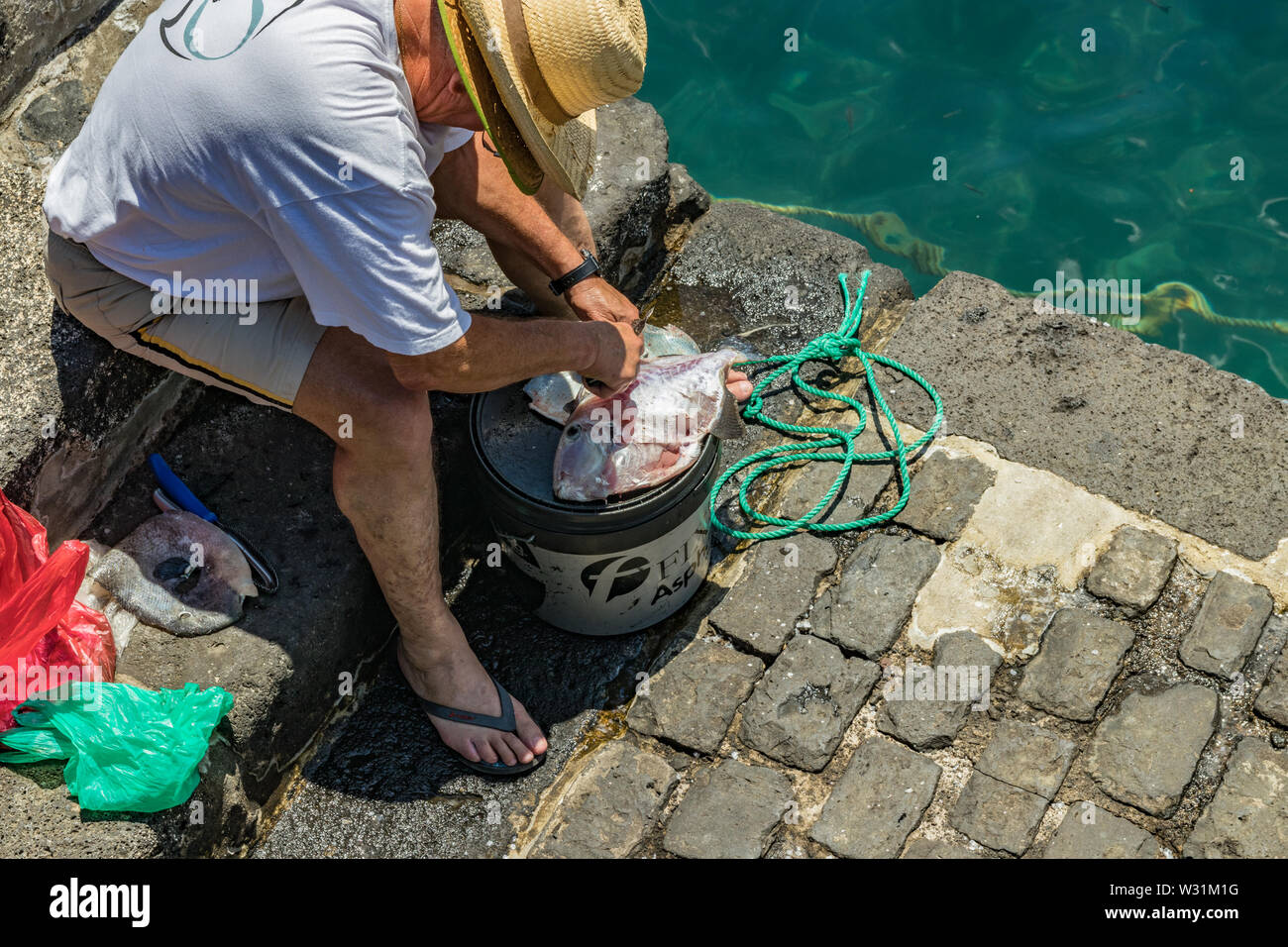 Un pêcheur après le succès de la pêche, à l'aide d'un couteau pour vider et nettoyer les poissons fraîchement pêchés, au-dessus de la benne d'alimentation. Jour ensoleillé chaud et doux. Vieux port, h Banque D'Images