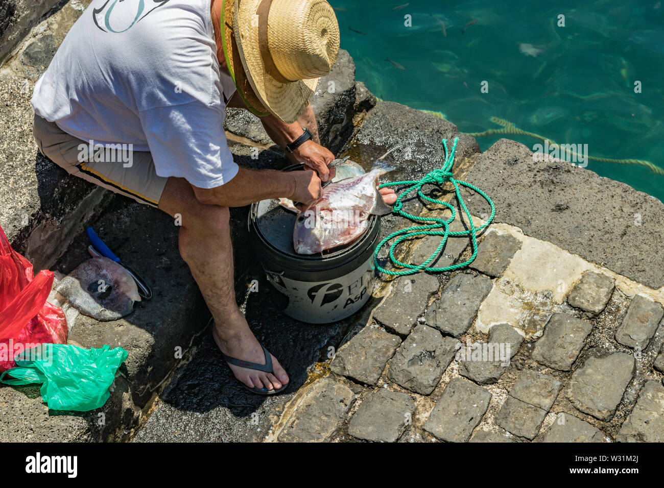 Un pêcheur après le succès de la pêche, à l'aide d'un couteau pour vider et nettoyer les poissons fraîchement pêchés, au-dessus de la benne d'alimentation. Jour ensoleillé chaud et doux. Vieux port, h Banque D'Images