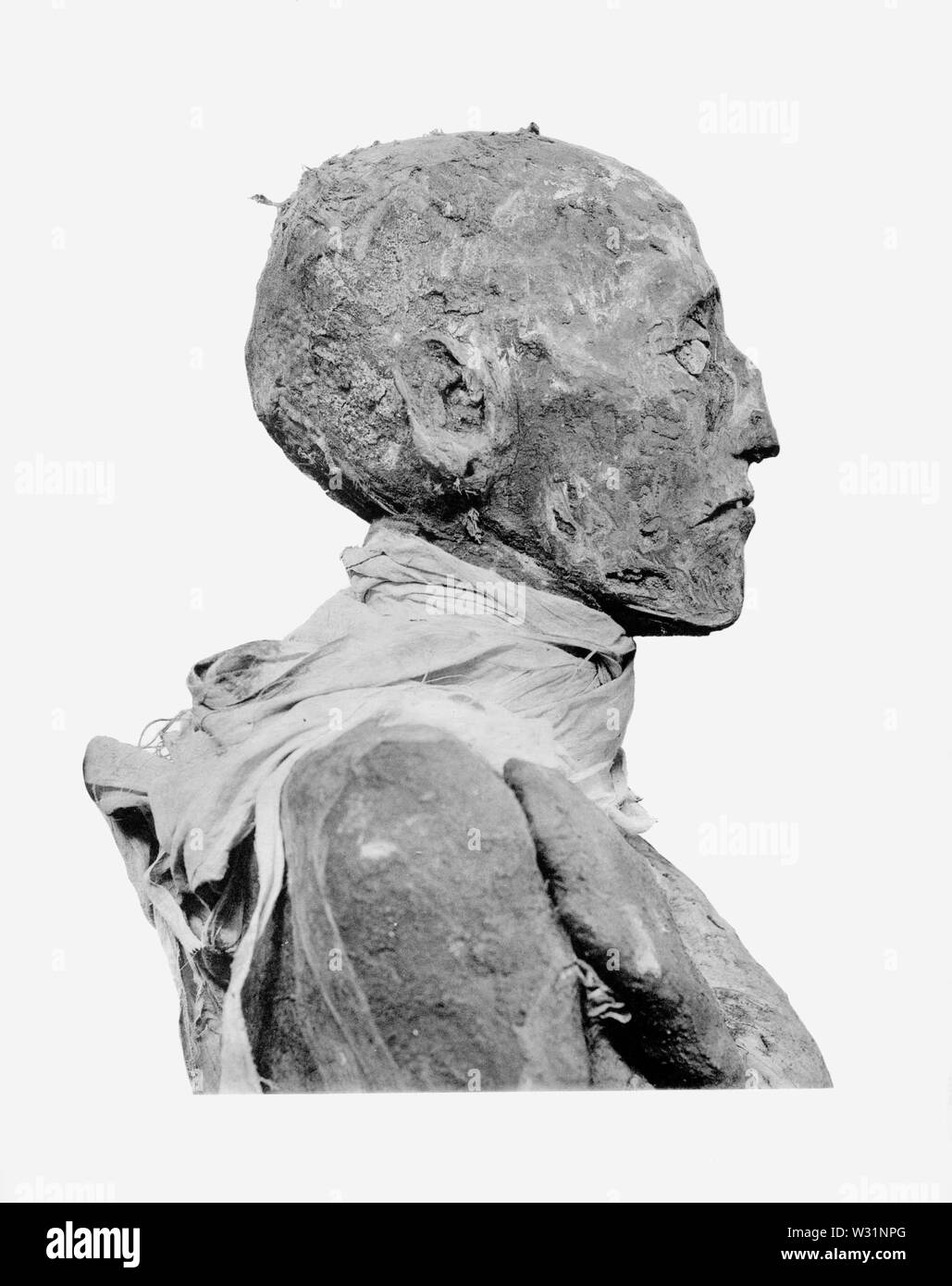 Ramsès III Profil de tête de maman Banque D'Images