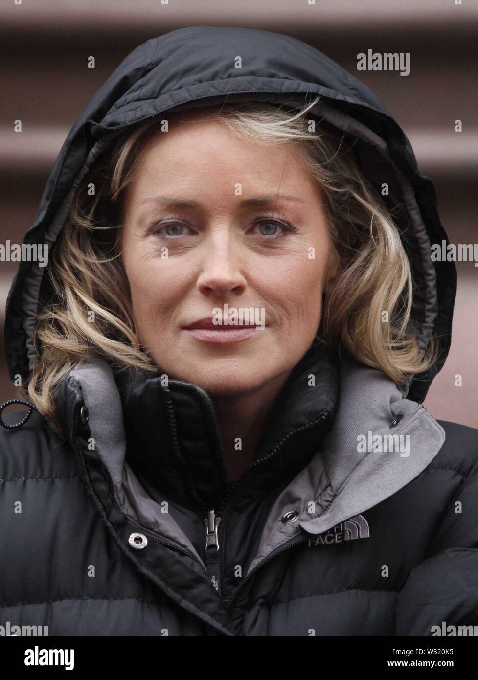 Sharon Stone sur le plateau de Sherlock Holmes 2009 Photo de John Barrett/CelebrityArchaeology.com Banque D'Images