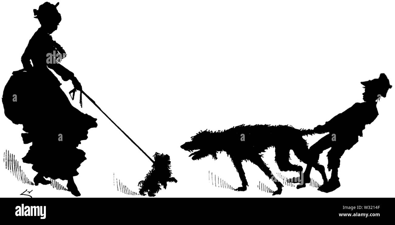 SMO V12 D453 Petit chien - permettez-moi de l'atteindre Banque D'Images