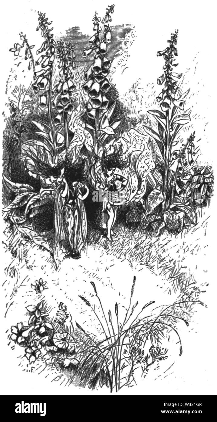 SMO V12 D628 sorcières dans le dé à coudre des robes de fleurs rouges Banque D'Images