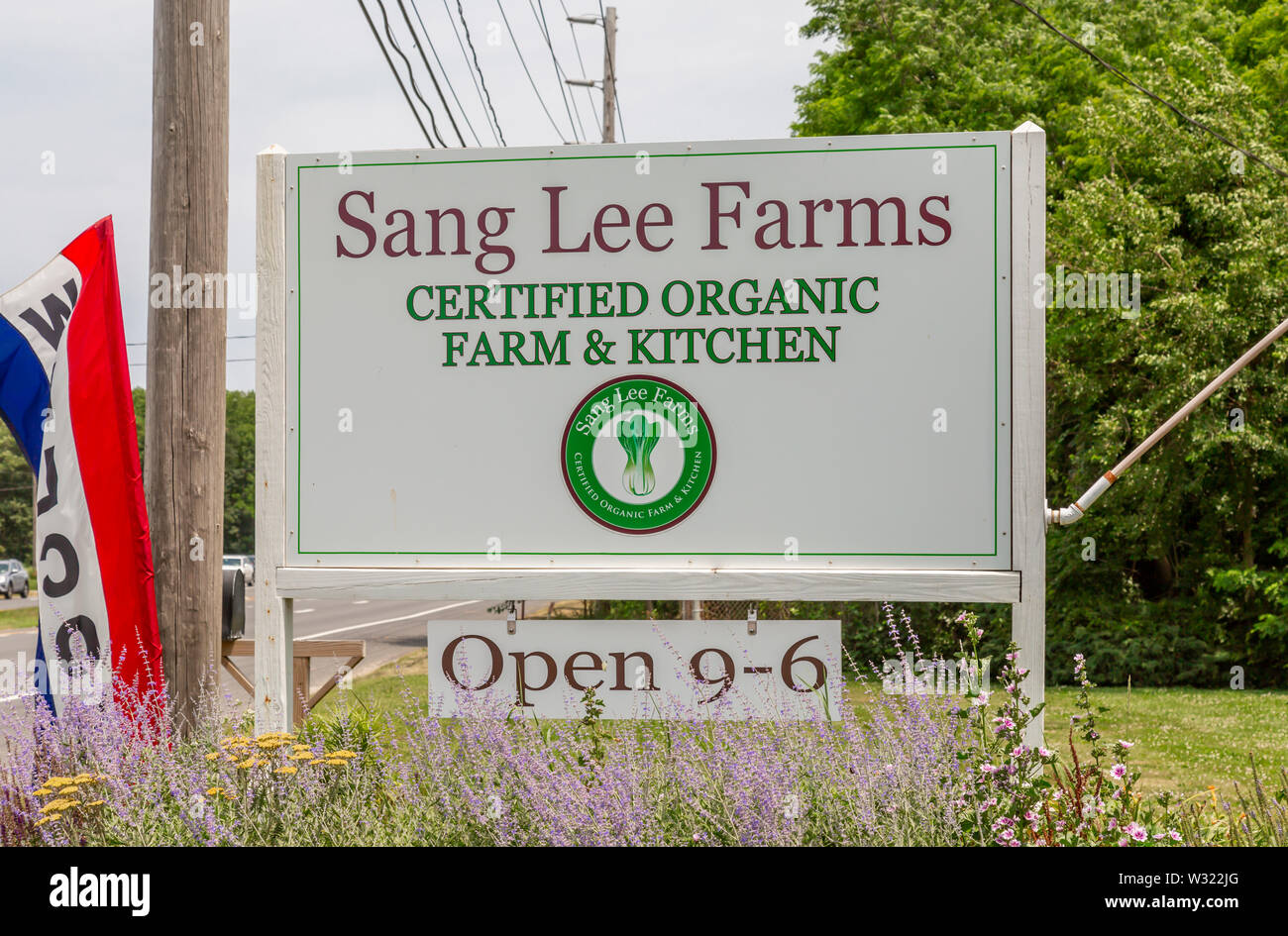 Sang Lee Farms, North Fork, Long Island, NY de l'Est Banque D'Images