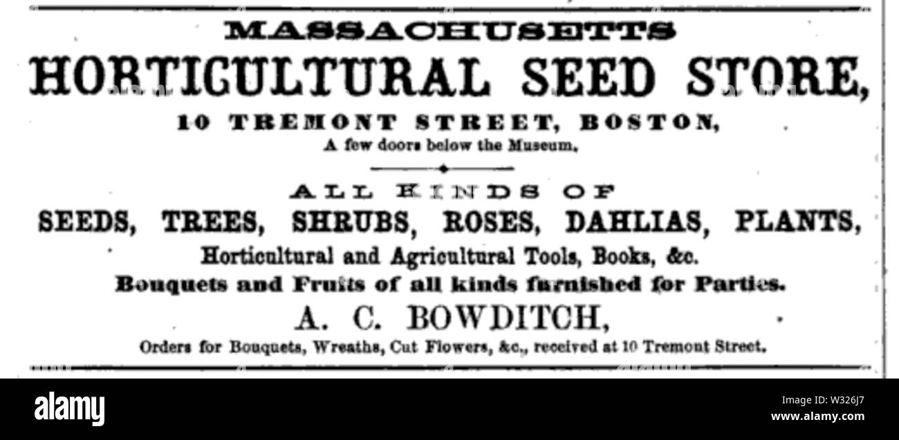 BostonDirectory 1868 Semences Banque D'Images