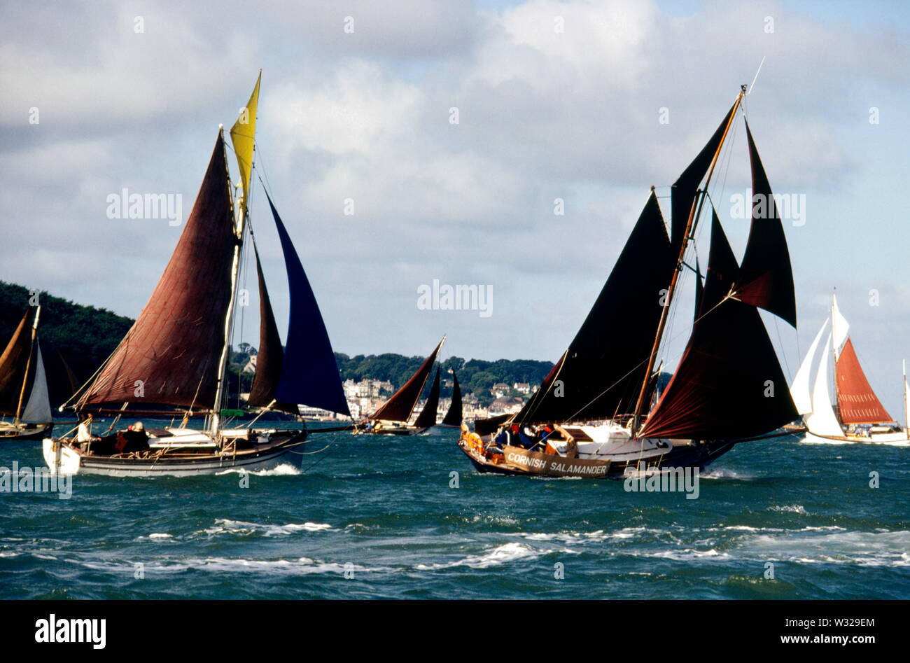 AJAXNETPHOTO. 1980. SOLENT, en Angleterre. - En cours - vieilles coques REGATTA DÉMARRE DANS OSBORNE BAY, CORNISH menant de la salamandre. PHOTO:JONATHAN EASTLAND/AJAX REF:907286 Banque D'Images