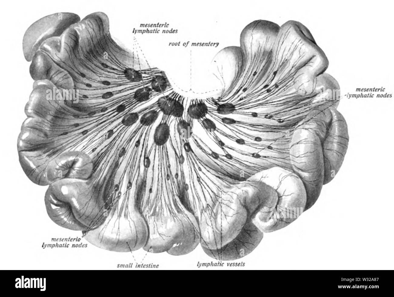 Sobo 1909606 Banque D'Images