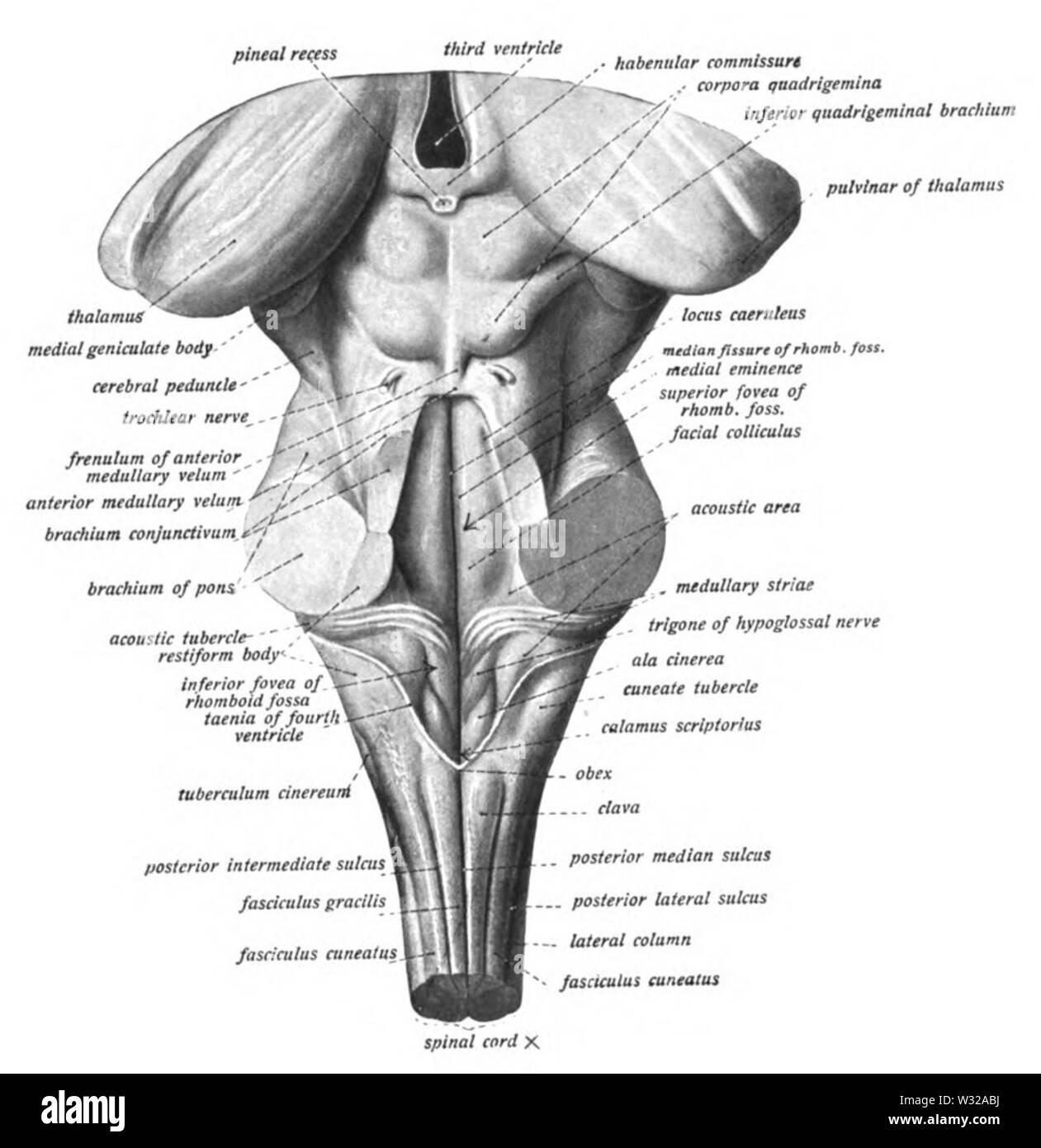 Sobo 1909660 Banque D'Images