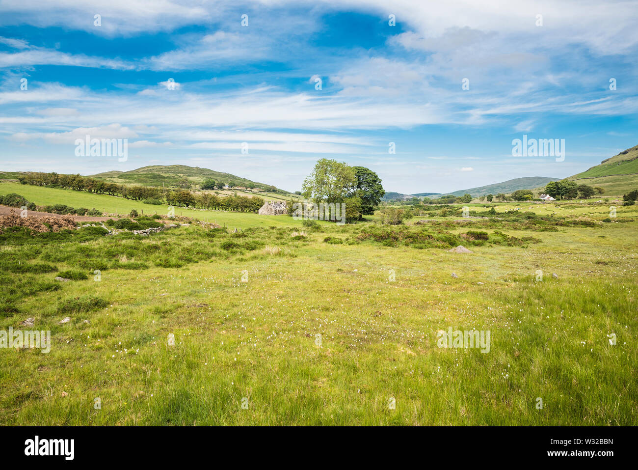 Paysage rural des montagnes de la Mourne, près de Newcastle, County Down, Irlande du Nord Banque D'Images