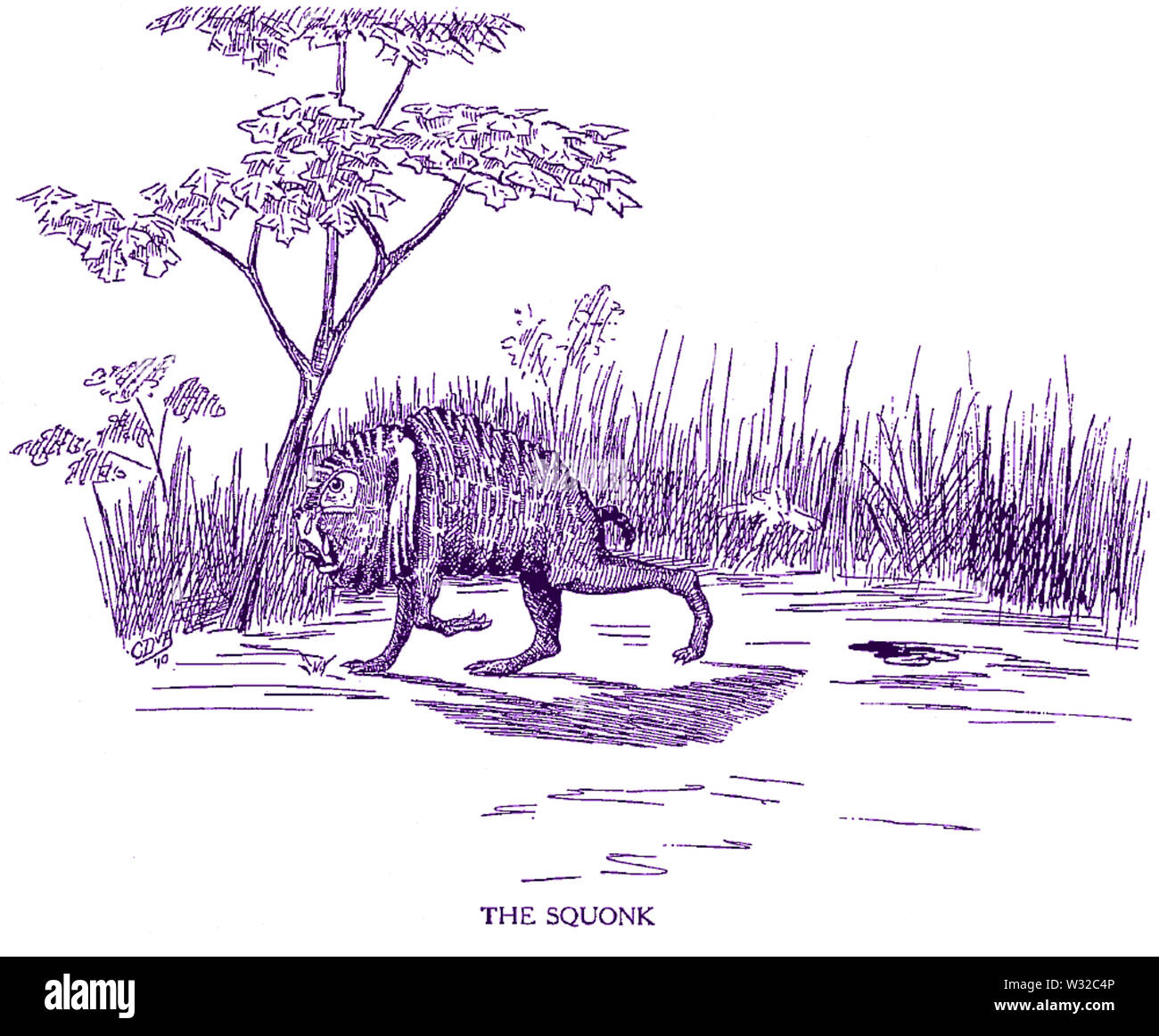 Squonk Banque D'Images