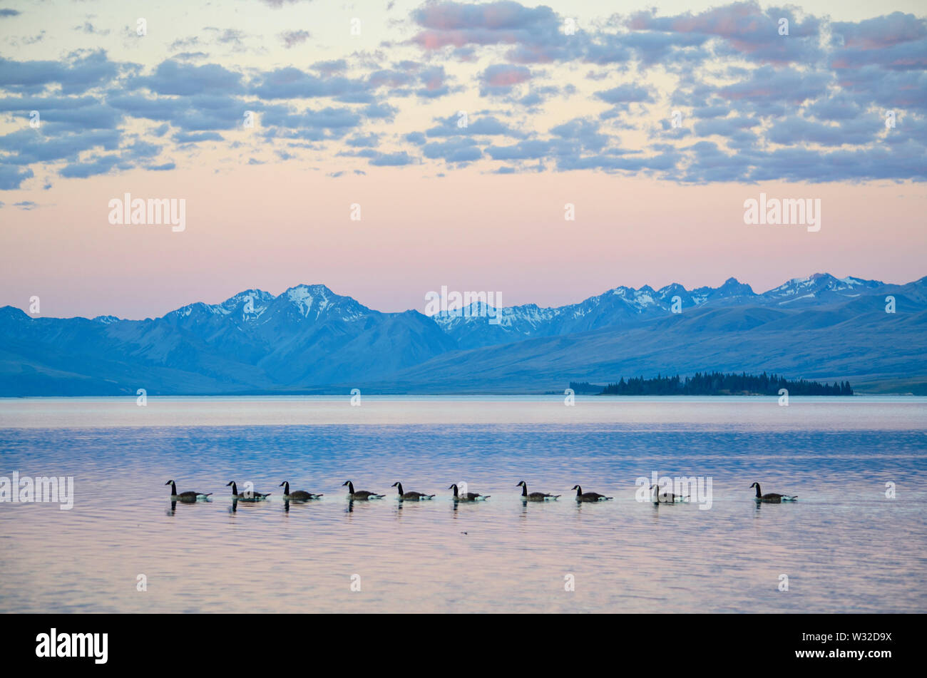 Panorama du lac Tekapo, Nouvelle-Zélande Banque D'Images