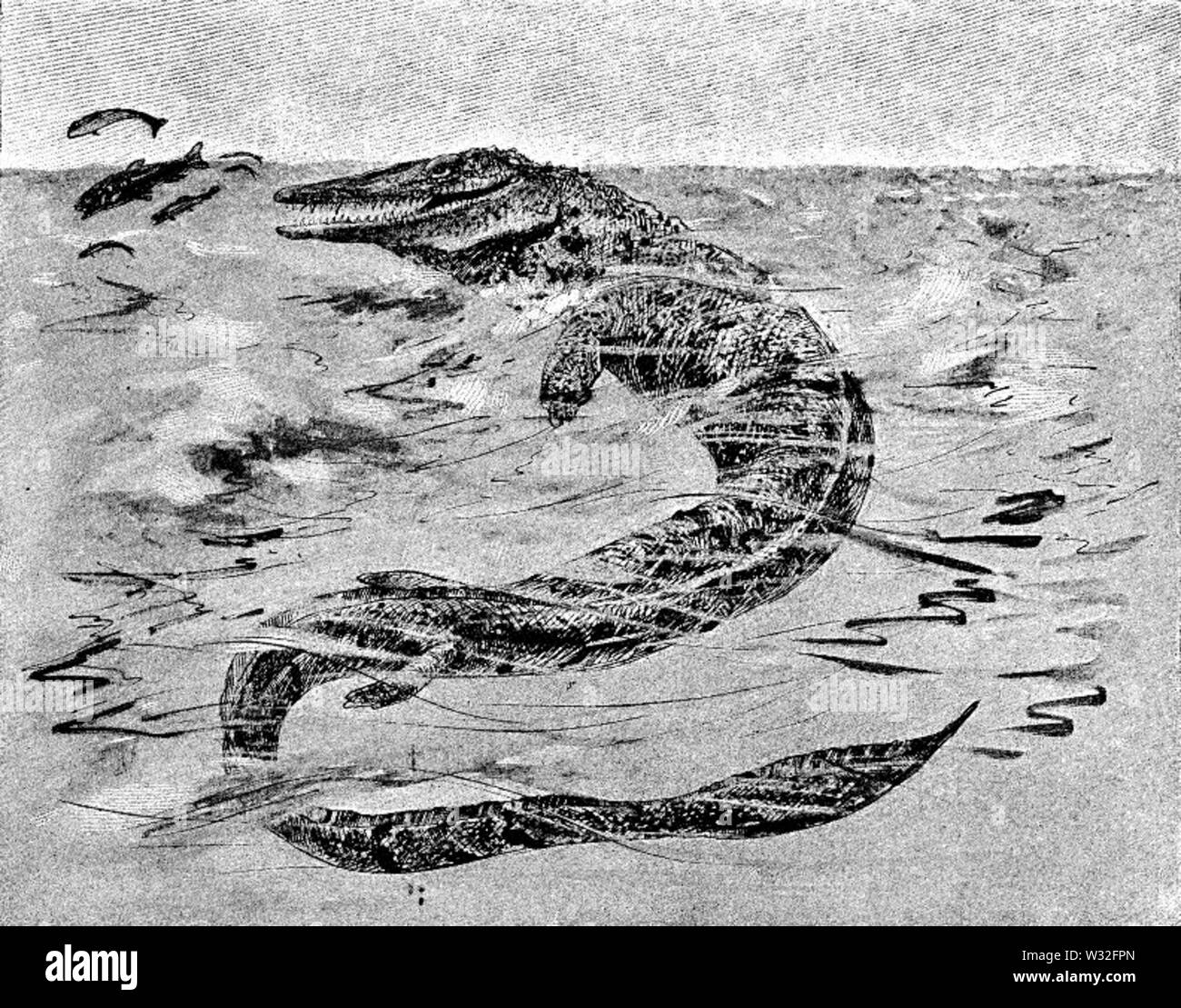 Des créatures étranges du passé - Mosasaure Ram-Nosed Banque D'Images