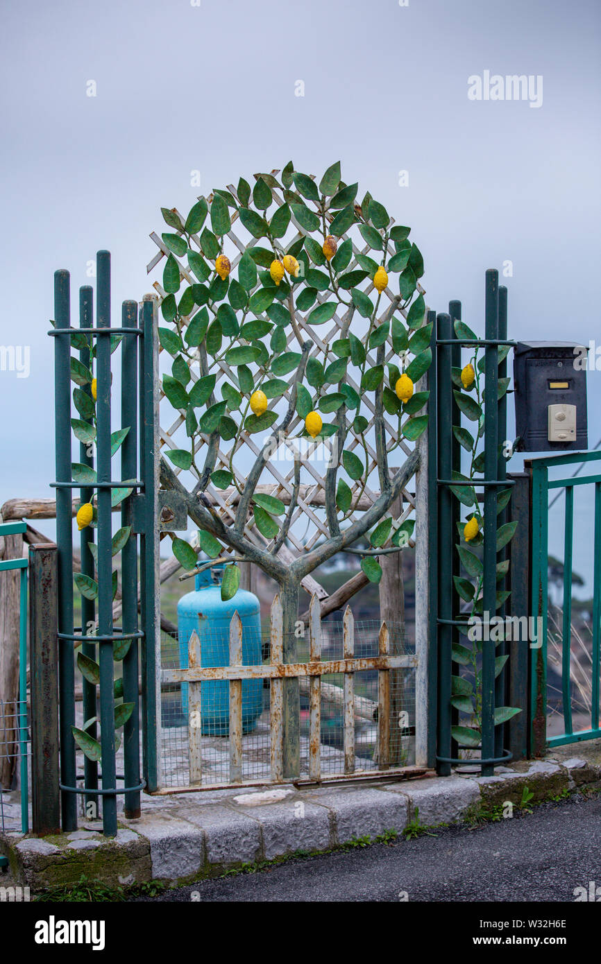 Entrée de porte décoratif qui travaillent dans la conception d'un citronnier Banque D'Images