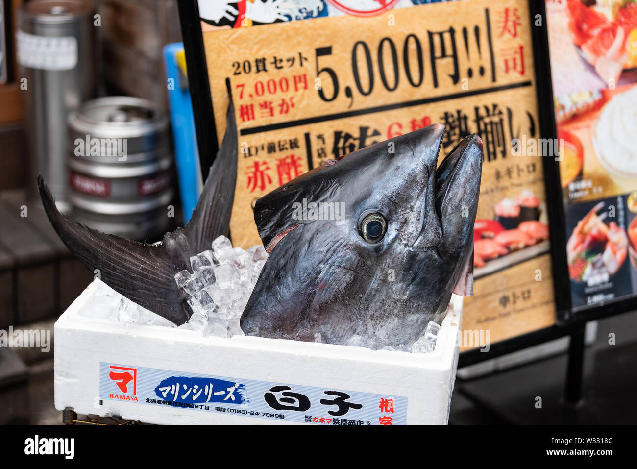 Tokyo, Japon - 30 mars 2019 - Grande tête de thon rouge congelé ou toro maguro dans rue Tsukiji fish market en magasin ou boutique de fruits de mer Banque D'Images