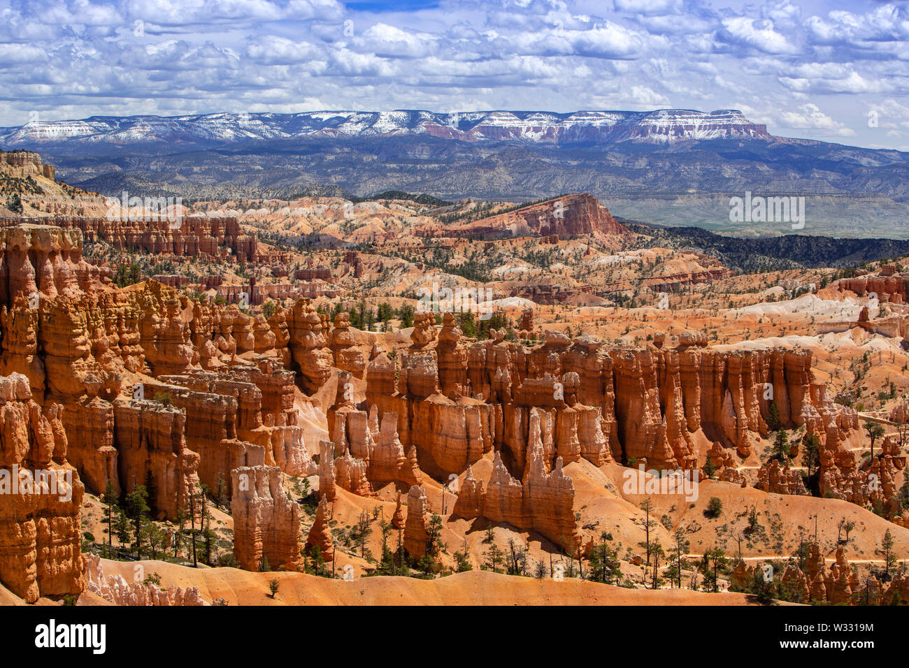 Hoodoo rock formations at Bryce Canyon National Park, Utah, United States of America Banque D'Images