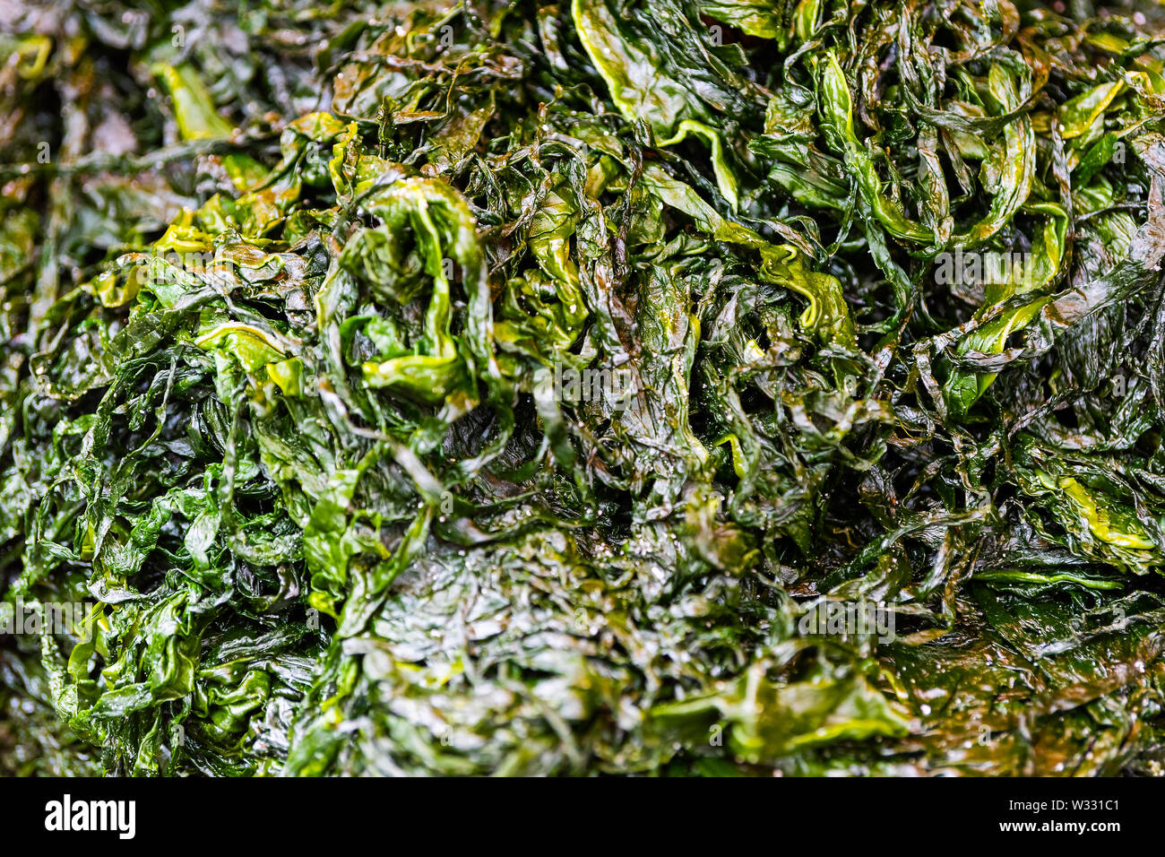 Magasin de détail Affichage de nori ou wakame fraîche couleur verte brute imbibée d'algues dans la rue Tsukiji fish market in Tokyo, Japan Banque D'Images