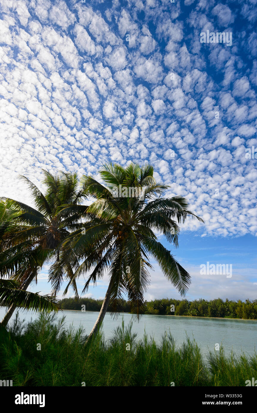 Superbe vue verticale d'un maquereau ciel au-dessus de la plage et du lagon de Muri, Rarotonga, îles Cook, Polynésie Française Banque D'Images