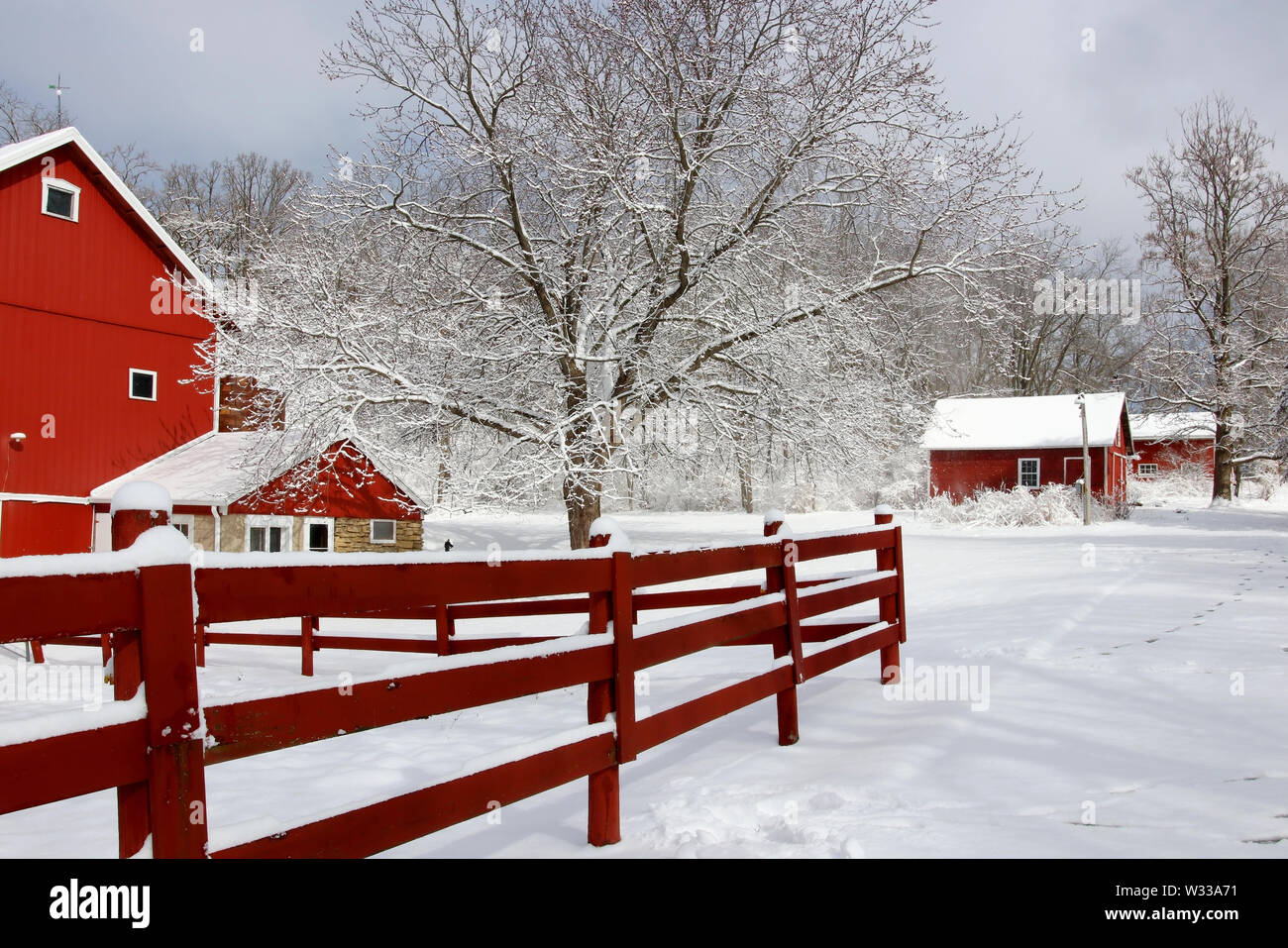 Paysage rural avec red barns, clôture rouge, arbres et route couverte par la neige fraîche. En hiver vue panoramique au Wisconsin, Madison, USA Midwest. Banque D'Images